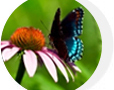 Nová podzimní soutěž